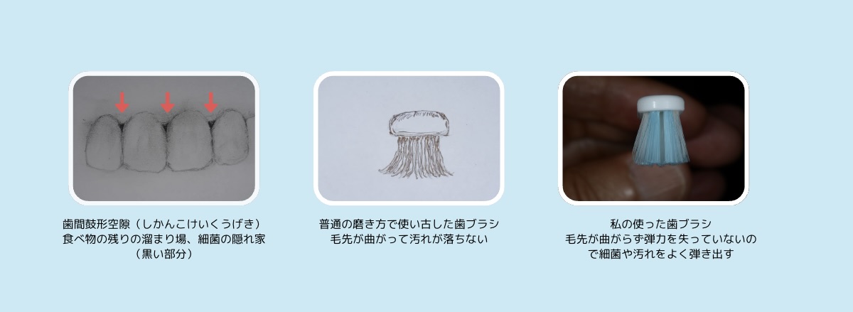 生涯自分の歯で食べるための Dr.伊藤流歯磨き術
